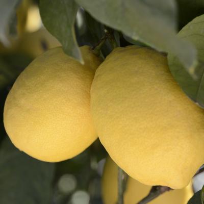 2011 10 Hotel Yetkin 026