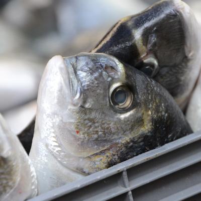 2011 10 Hotel Yetkin 160