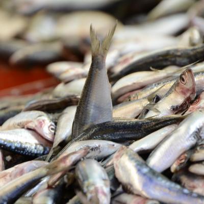 2011 10 Hotel Yetkin 161