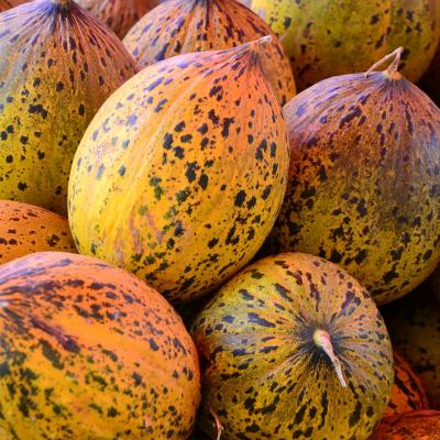 2011 24 Hotel Antique Roman Palace 017