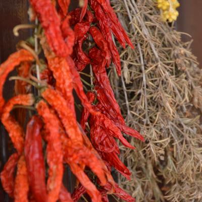 2012 18 Hotel Tarida Beach Ibiza 157