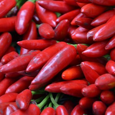 2012 20 Foto Workshop 086