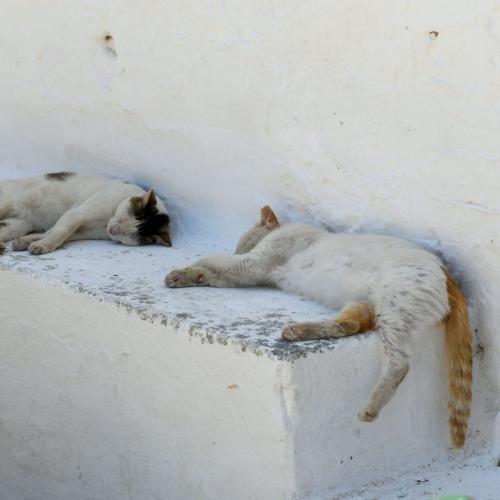 2021 05 22 Hotel Mitsis Alila Rhodos 083