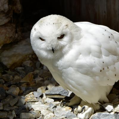 2019 07 07 Embach 135