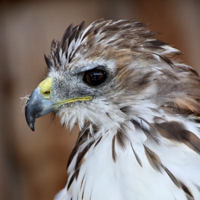 2019 07 07 Embach 143