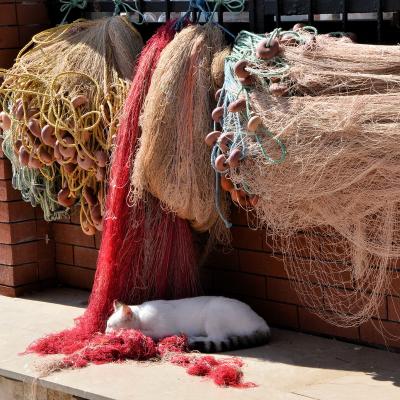 2012 28 Kuisadsi Hotel Ephesus Princess 059